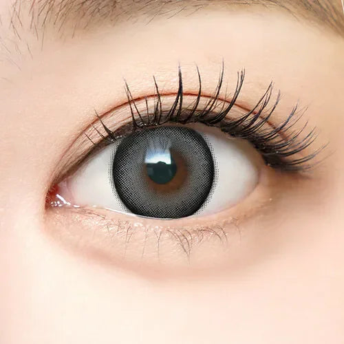 i-SHA Dekame Look At Me Gray (3-6 Month/1 Piece)-MASHED POTATO UK | Colour Contact Lens
