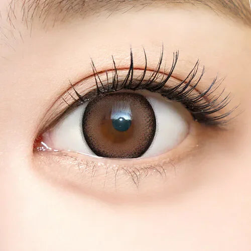 i-SHA Dekame Look At Me Sand (DAILY/10P)-MASHED POTATO UK | Colour Contact Lens