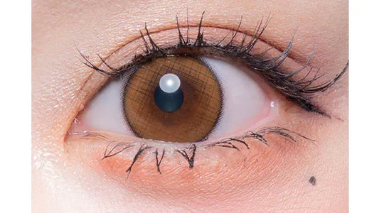 Flurry Waffle Check Brown (MONTH/3 Pieces)-MASHED POTATO UK | Colour Contact Lens
