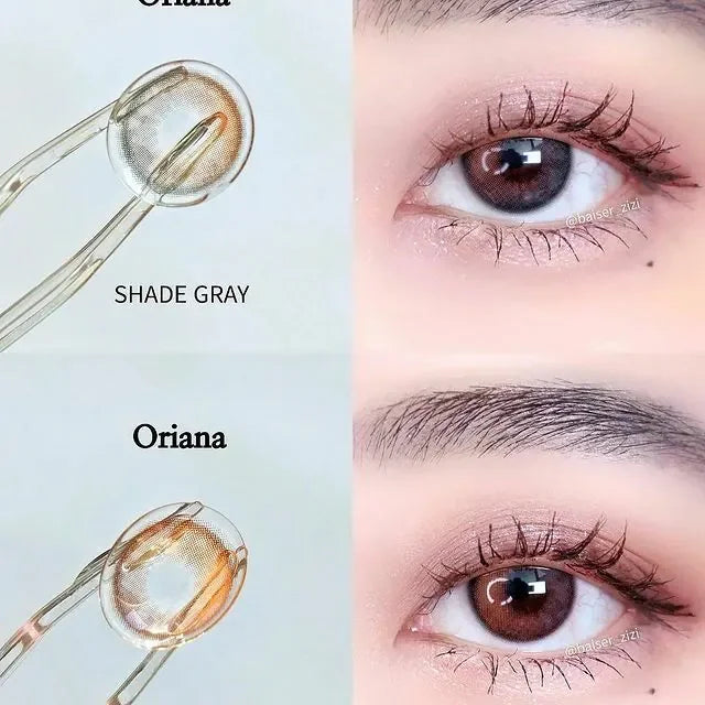 i-SHA Oriana Shade Brown (DAILY/10P)-MASHED POTATO UK | Colour Contact Lens