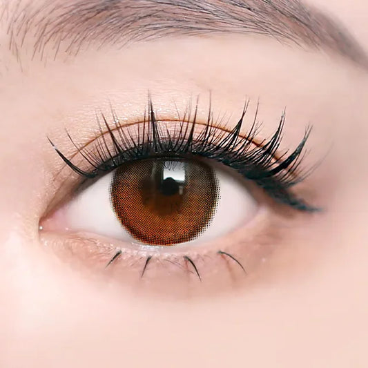 i-SHA Oriana Shade Brown (DAILY/10P)-MASHED POTATO UK | Colour Contact Lens