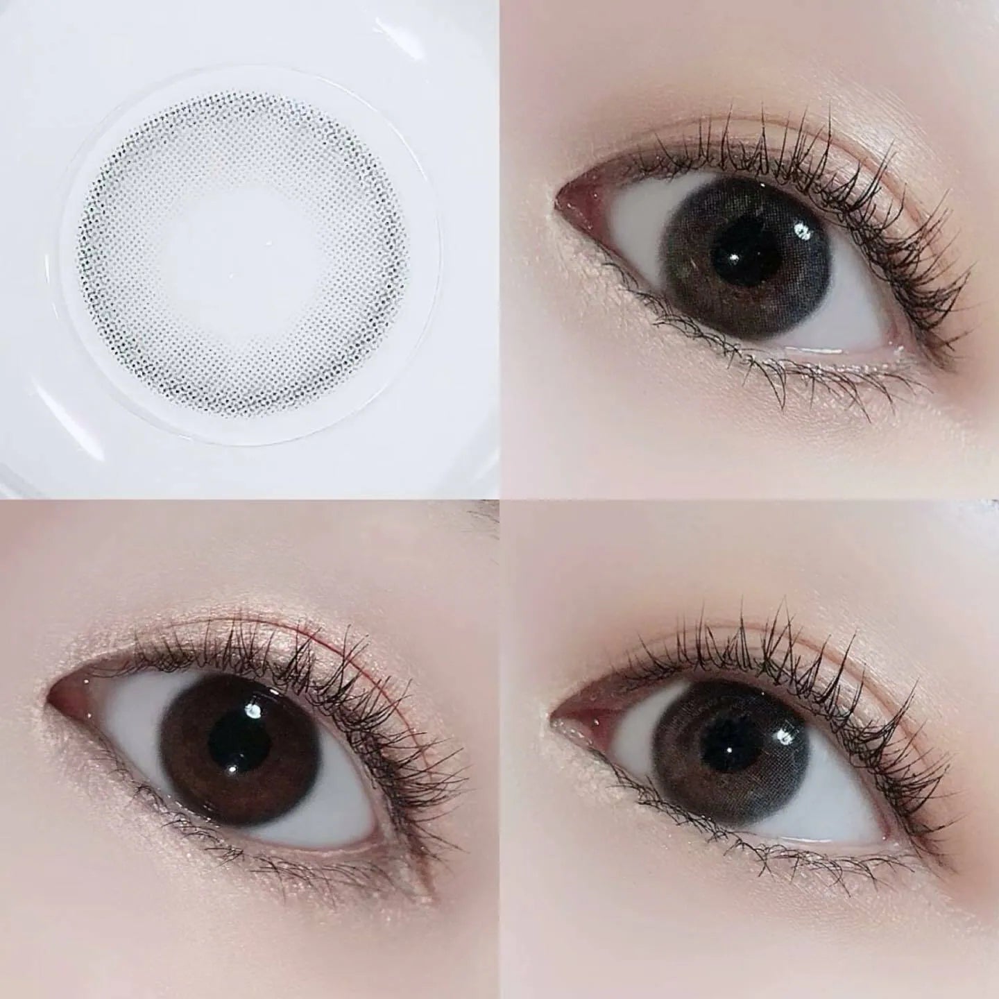 i-SHA Oriana Serenity Gray (DAILY/10P)-MASHED POTATO UK | Colour Contact Lens