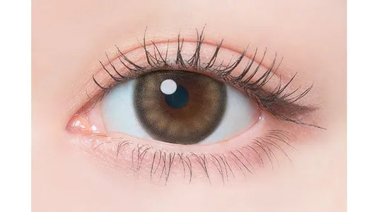 Flanmy Milk Pudding (DAILY/10P)-MASHED POTATO UK | Colour Contact Lens