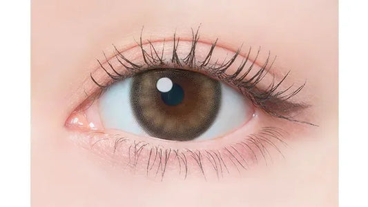 Flanmy Milk Pudding (DAILY/10P)-MASHED POTATO UK | Colour Contact Lens