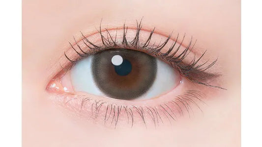 Flanmy Earl Grey Parfait (DAILY/10P)-MASHED POTATO UK | Colour Contact Lens