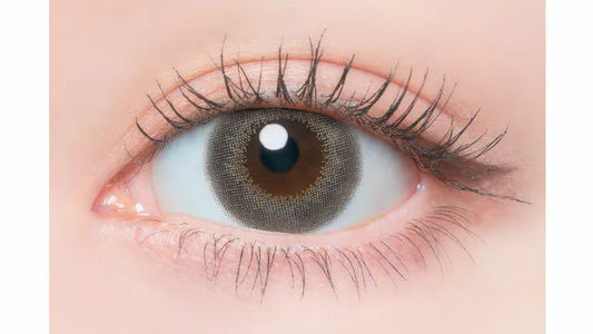 Flanmy Goma Baum (DAILY/10P)-MASHED POTATO UK | Colour Contact Lens