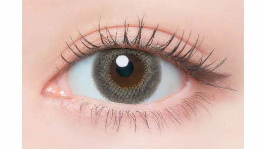 Flanmy Goma Baum (DAILY/10P)-MASHED POTATO UK | Colour Contact Lens