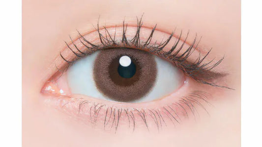 Flanmy Shell Tulle Rose (DAILY/10P)-MASHED POTATO UK | Colour Contact Lens