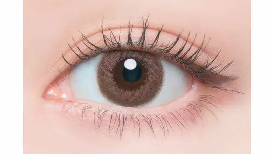 Flanmy Shell Tulle Rose (DAILY/10P)-MASHED POTATO UK | Colour Contact Lens