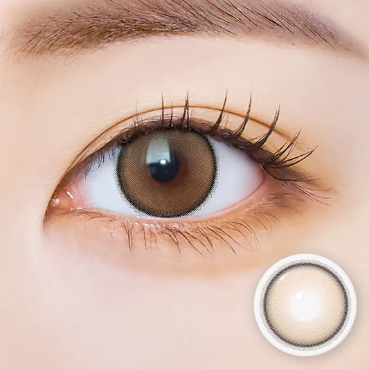 i-SHA Dekame Hug Me Brown (DAILY/10P)-MASHED POTATO UK | Colour Contact Lens