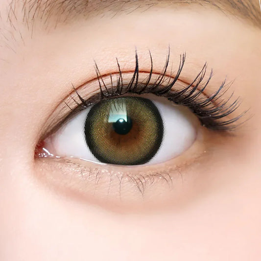 i-SHA Dekame Love Me Cashewnut (DAILY/10P)-MASHED POTATO UK | Colour Contact Lens
