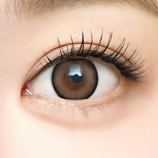 i-SHA Dekame Look At Me Brown (DAILY/10P)-MASHED POTATO UK | Colour Contact Lens