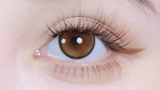 LilMoon Zero Hazel (DAILY/10P)-MASHED POTATO UK | Colour Contact Lens