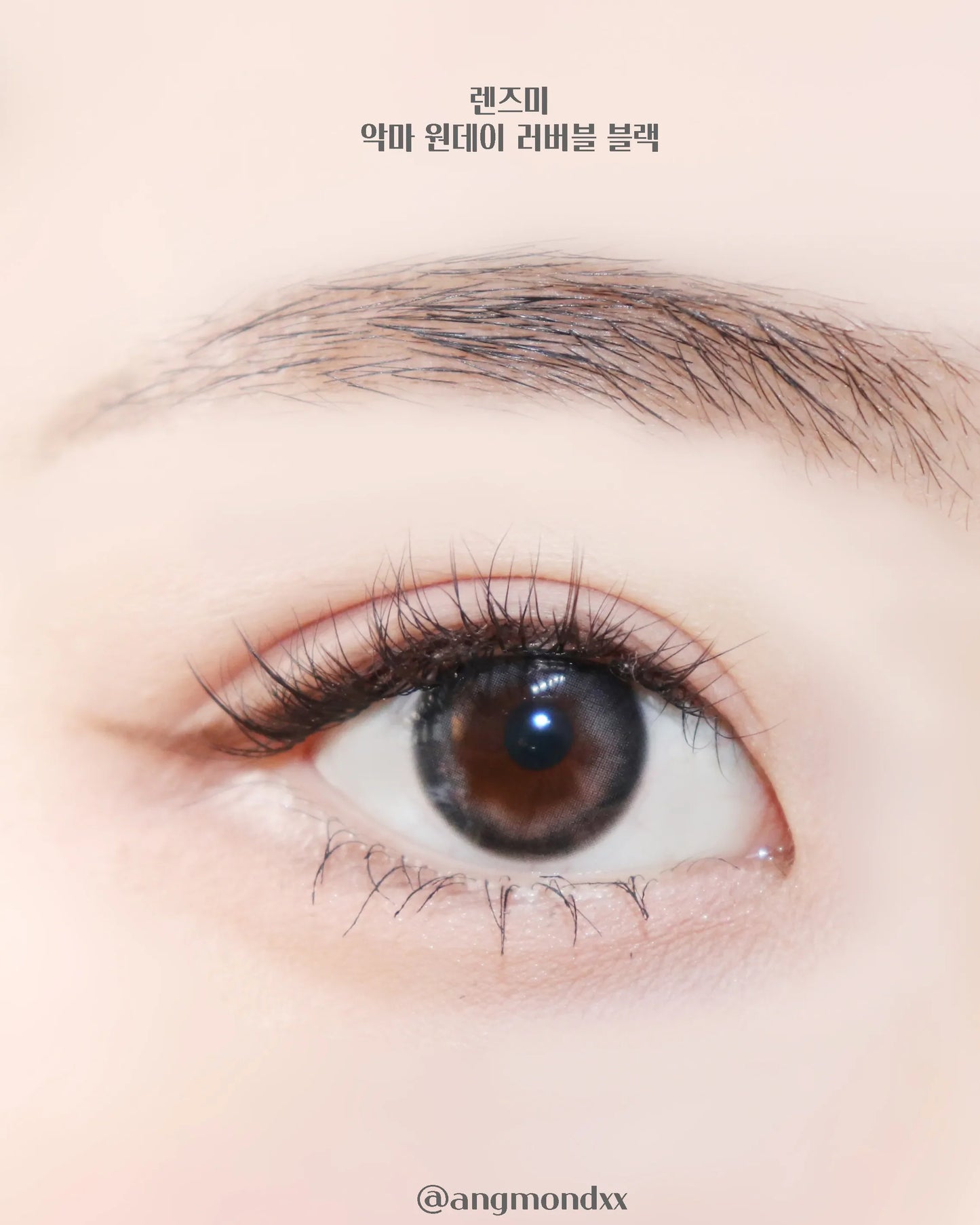 LENSME Akma Lovable Gray (DAILY/30P)-MASHED POTATO UK | Colour Contact Lens