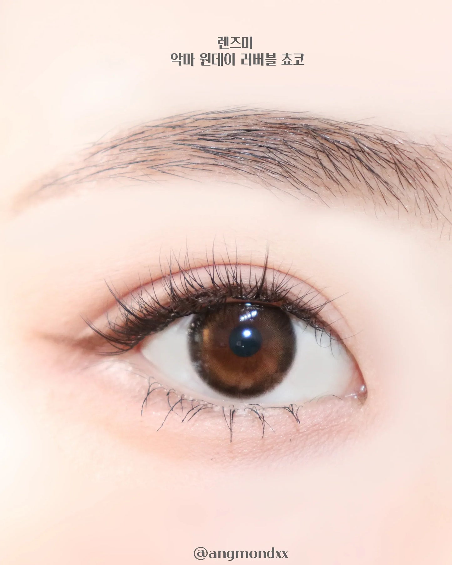 LENSME Akma Lovable Choco (DAILY/30P)-MASHED POTATO UK | Colour Contact Lens