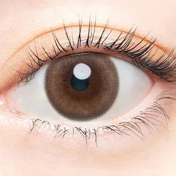 Angelcolor Bambi Series Vintage Classic (DAILY/10P)-MASHED POTATO UK | Colour Contact Lens