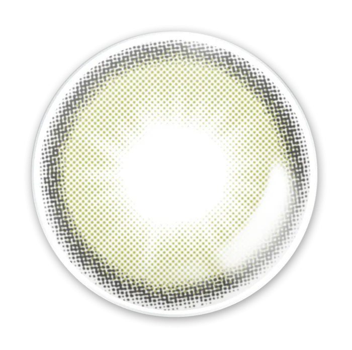 LENSME YOUS Fit Olive (DAILY/10P)