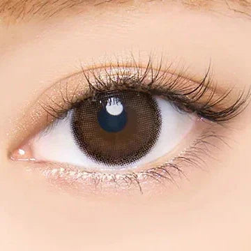 Angelcolor Bambi Series Natural Pure Brown (DAILY/10P)-MASHED POTATO UK | Colour Contact Lens