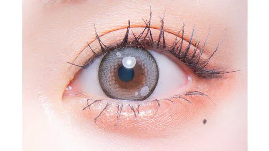 Flurry Kuromitsu Pudding (MONTH/3 Pieces)-MASHED POTATO UK | Colour Contact Lens
