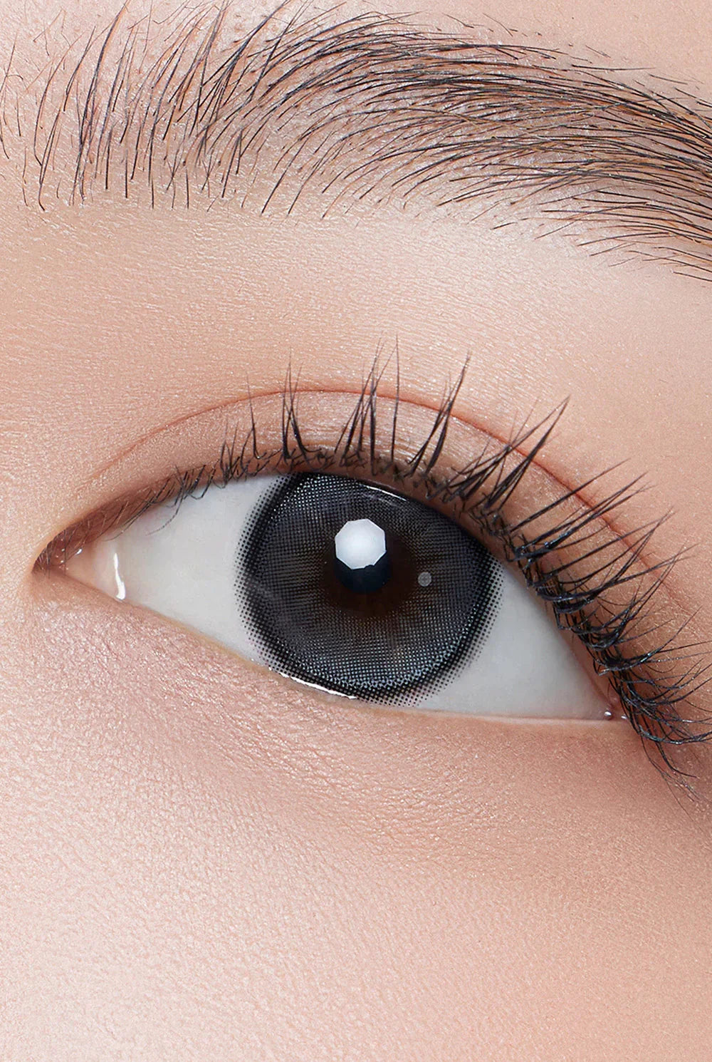 Hapa Kristin Dolly Kristin Gray (DAILY/10P)-MASHED POTATO UK | Colour Contact Lens