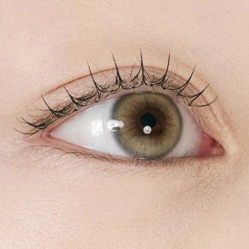 iDOL Bad Cat Siamese Beige (YEAR/1 Piece) - MASHED POTATO UK | Colour Contact Lens