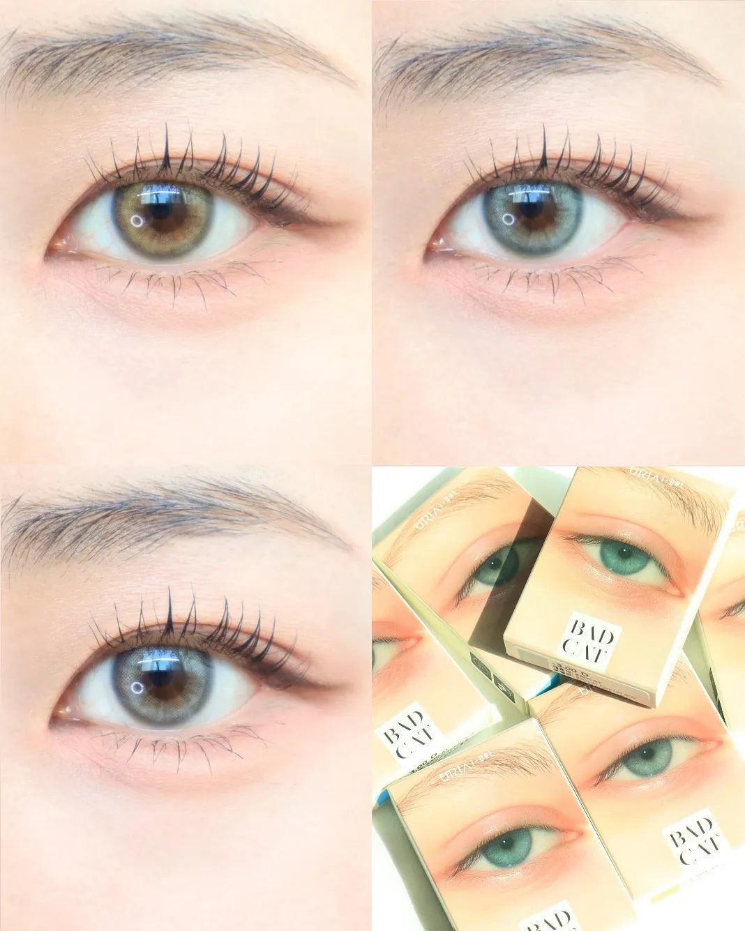 iDOL Bad Cat Siamese Beige (YEAR/1 Piece) - MASHED POTATO UK | Colour Contact Lens