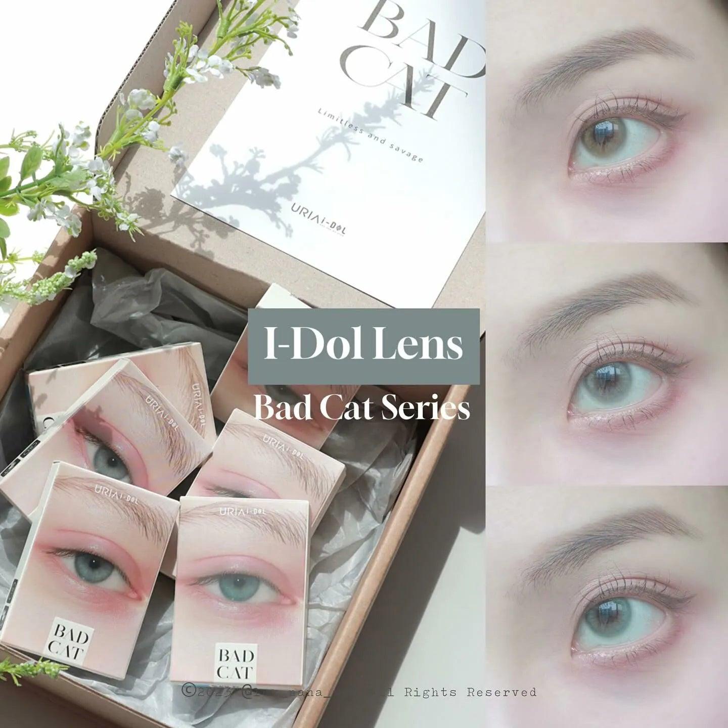 iDOL Bad Cat Egyptian Gray (YEAR/1 Piece) - MASHED POTATO UK | Colour Contact Lens