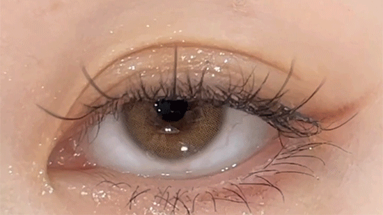 iDOL Euroring Mel Beige (YEAR/1 Piece) - MASHED POTATO UK | Colour Contact Lens