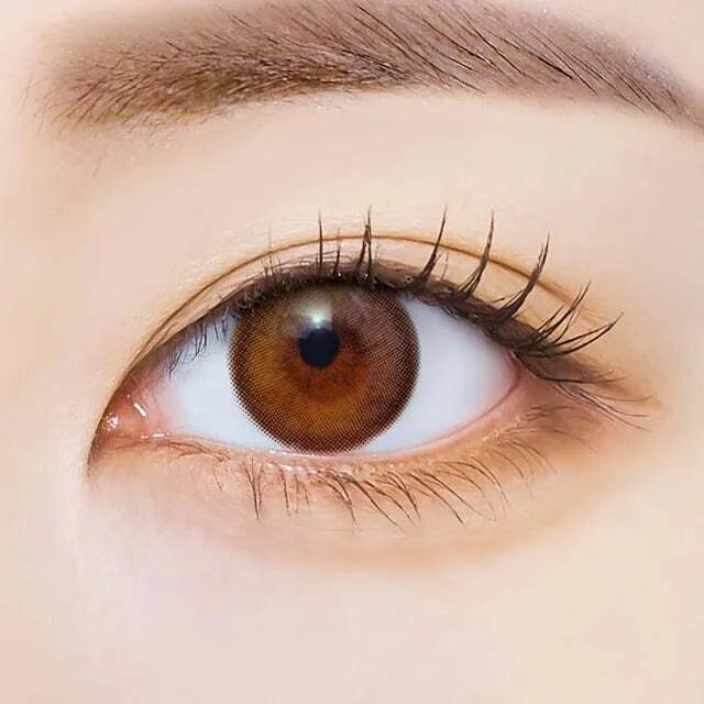 iDOL i-SHA POLARIS Ursa Brown (YEAR/1 Piece) - MASHED POTATO UK | Colour Contact Lens