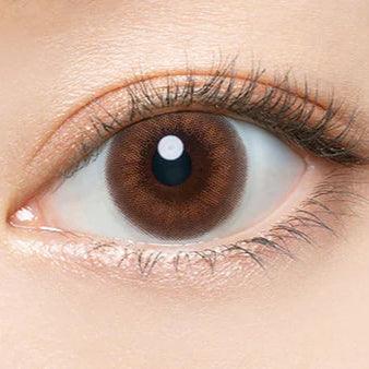 Angelcolor Bambi Series Vintage Bear (DAILY/10P) - MASHED POTATO UK | Colour Contact Lens