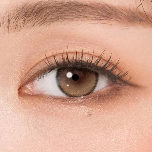 Hapa Kristin Secretive Antique Brown (DAILY/10P) - MASHED POTATO UK | Colour Contact Lens