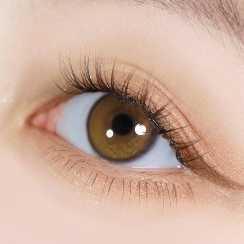 iDOL Yurial Royal Brown (YEAR/1 Piece) - MASHED POTATO UK | Colour Contact Lens