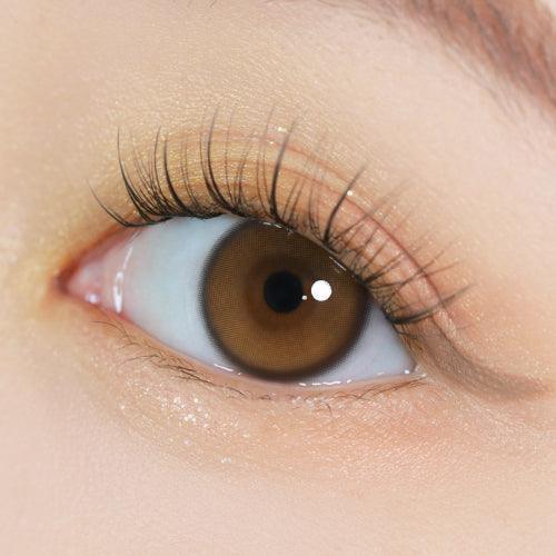 iDOL Yurial Water Brown (DAILY/10P) - MASHED POTATO UK | Colour Contact Lens