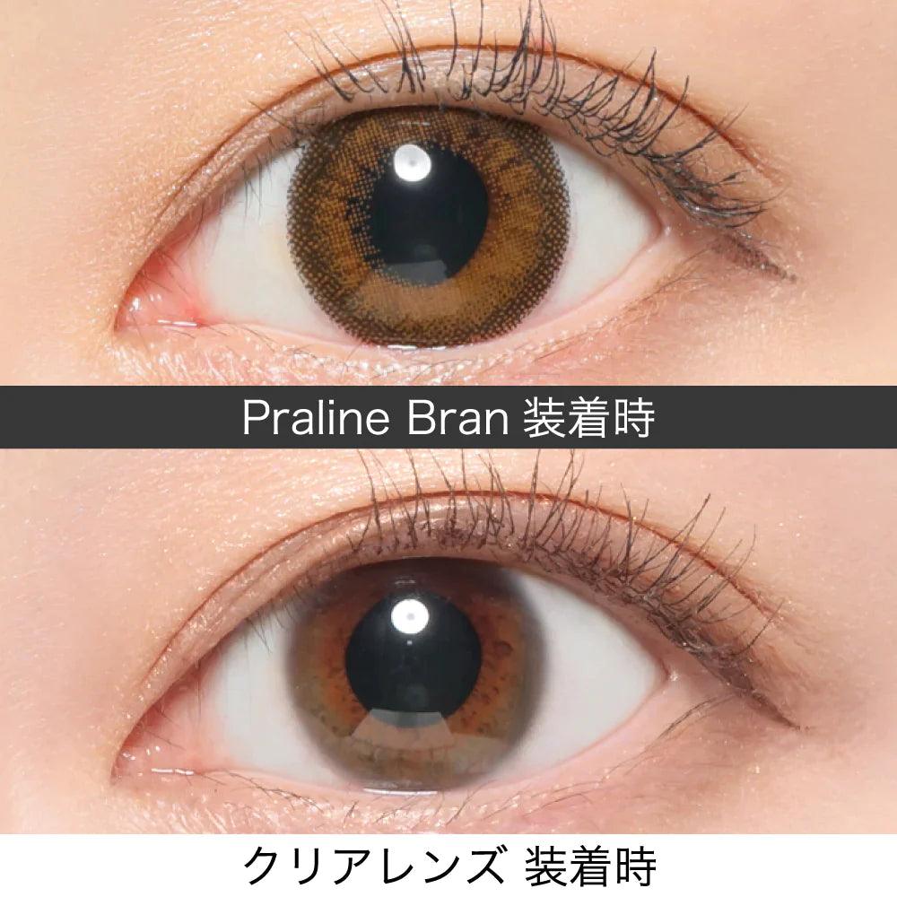ReVIA Praline Bran (DAILY/10P) - MASHED POTATO UK | Colour Contact Lens