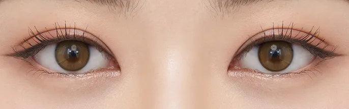 OLENS Real Ring Brown (DAILY/20P) - MASHED POTATO UK | Colour Contact Lens
