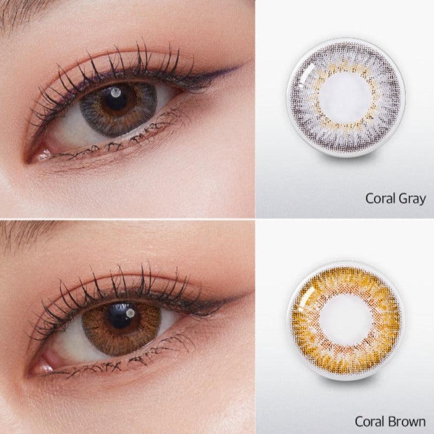 OLENS Secriss Coral Gray (DAILY/20P) - MASHED POTATO UK | Colour Contact Lens
