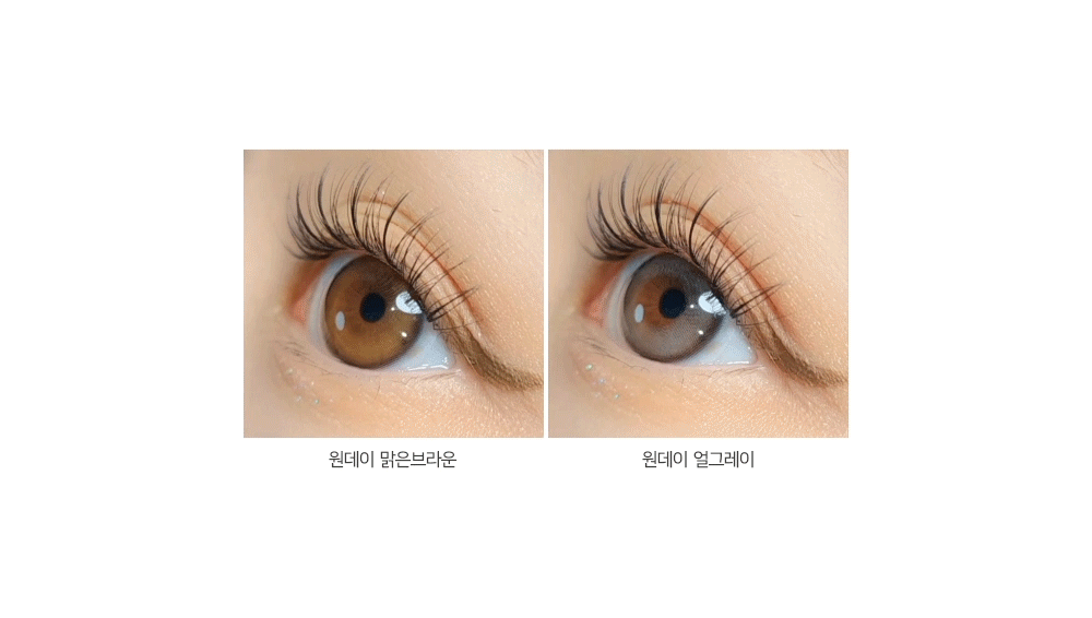iDOL Yurial Earl Grey (DAILY/10P) - MASHED POTATO UK | Colour Contact Lens
