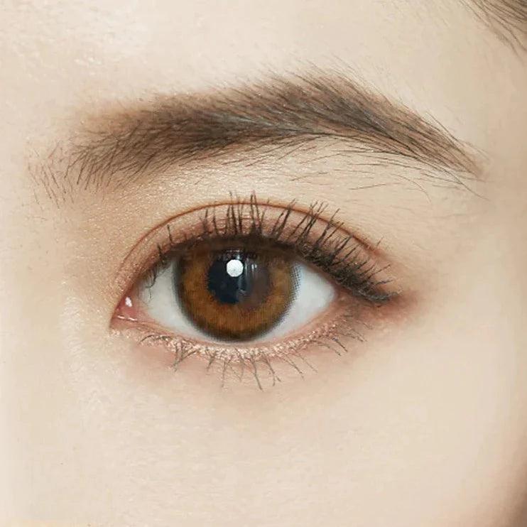 FOMOMY Gem Brown (DAILY/10P) - MASHED POTATO UK | Colour Contact Lens