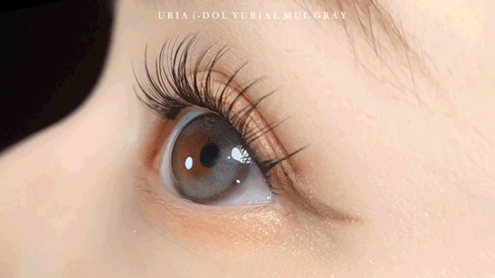 iDOL Yurial Mul Grey (YEAR/1 Piece) - MASHED POTATO UK | Colour Contact Lens