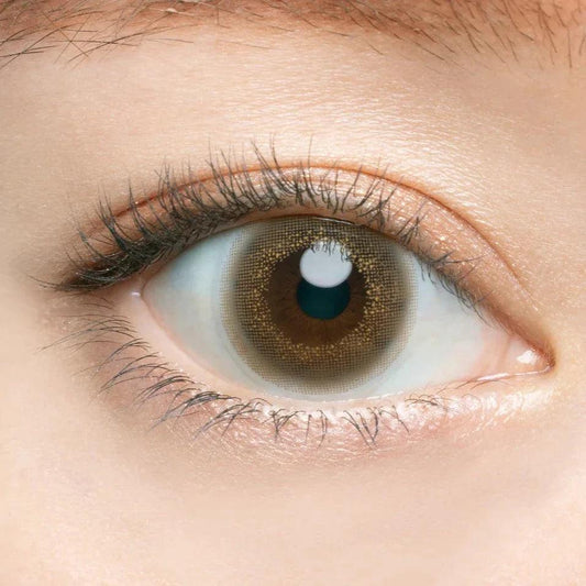 Angelcolor Bambi Series Vintage Hazel (DAILY/10P) - MASHED POTATO UK | Colour Contact Lens