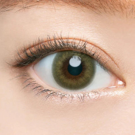 Angelcolor Bambi Series Vintage Pistachio (DAILY/10P) - MASHED POTATO UK | Colour Contact Lens