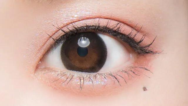 Flurry Tulle Black (DAILY/10P) - MASHED POTATO UK | Colour Contact Lens
