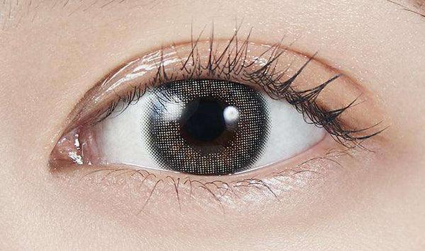 MOLAK Mirror Gray (DAILY/10P) - MASHED POTATO UK | Colour Contact Lens