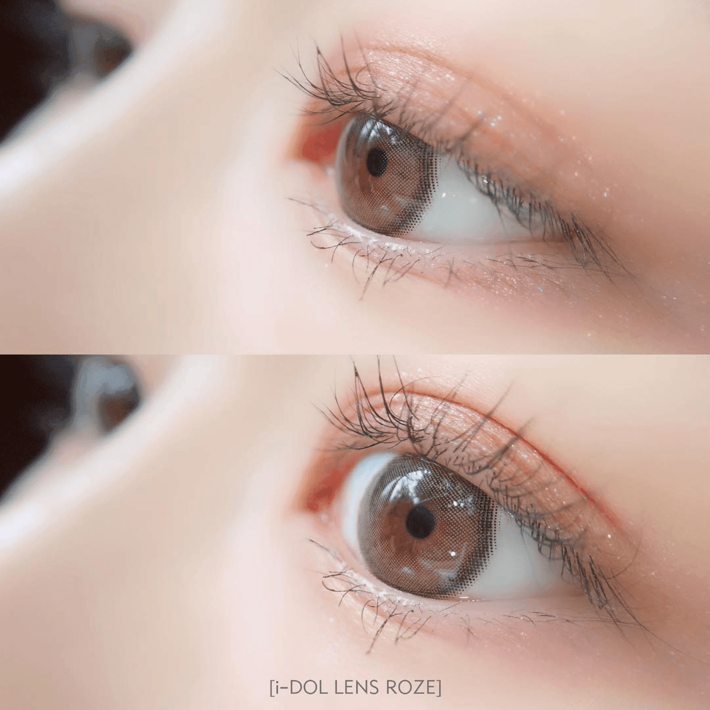 iDOL Canna Roze Nude Brown (YEAR/1 Piece) - MASHED POTATO UK | Colour Contact Lens