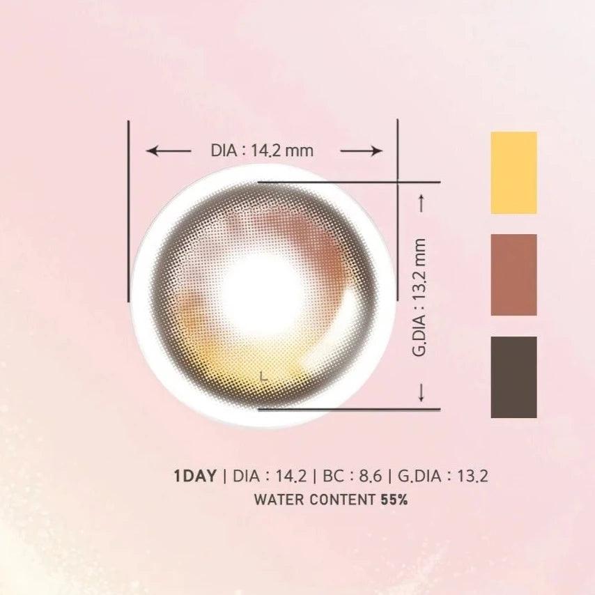 LENSME Akma Qloring Brown (DAILY/30P) - MASHED POTATO UK | Colour Contact Lens