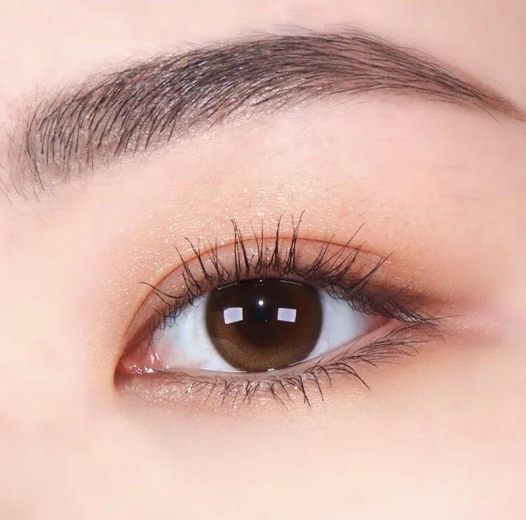 LENSME Akma Qloring Brown (DAILY/30P) - MASHED POTATO UK | Colour Contact Lens