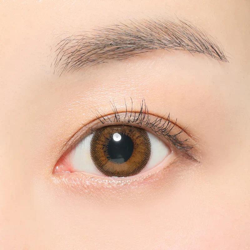 ReVIA Praline Bran (DAILY/10P) - MASHED POTATO UK | Colour Contact Lens