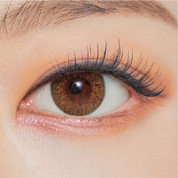 OLENS Secriss Coral Brown (DAILY/20P) - MASHED POTATO UK | Colour Contact Lens