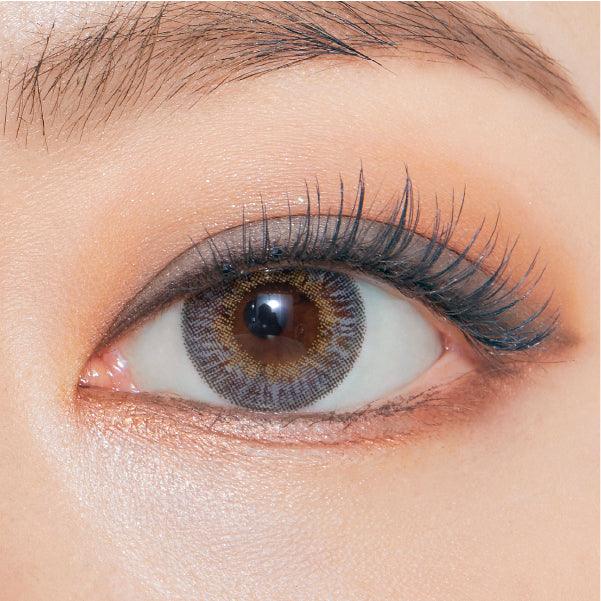 OLENS Secriss Coral Gray (DAILY/20P) - MASHED POTATO UK | Colour Contact Lens
