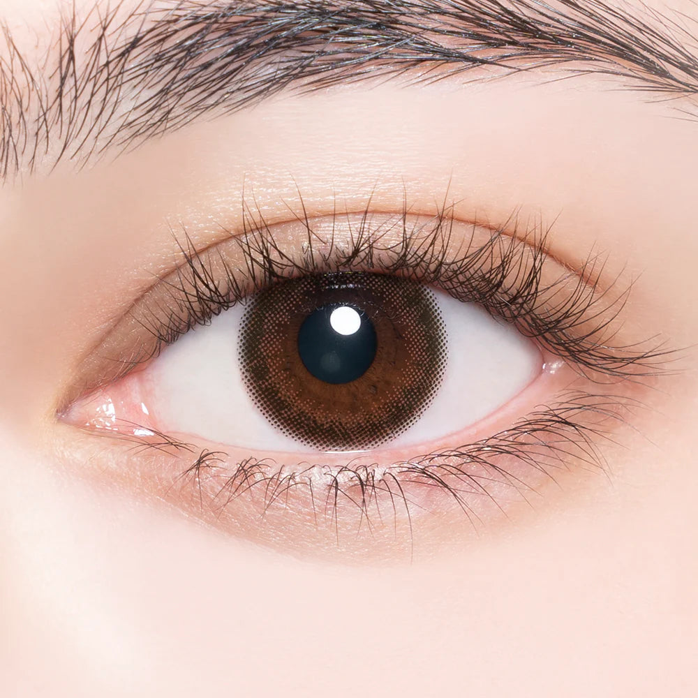 envie Plum Black (DAILY/10P) - MASHED POTATO UK | Colour Contact Lens